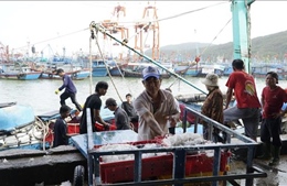 Ngư dân Gia Lai tấp nập vươn khơi dịp cuối năm