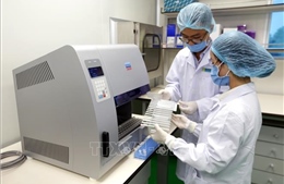 Tiếp tục khẳng định vai trò nòng cốt trong nghiên cứu khoa học, đổi mới sáng tạo