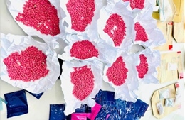 Triệt phá đường dây mua bán ma túy liên tỉnh, thu giữ 9,2kg ma túy tổng hợp