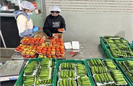 Lâm Đồng: Nguồn cung, giá rau củ dần ổn định sau mưa lũ