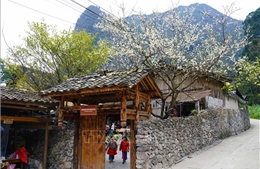 Du lịch Việt Nam 2025: Điểm sáng trong bức tranh tăng trưởng kinh tế, xã hội