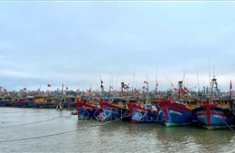 Quảng Trị không để tàu cá không đủ điều kiện ra khơi