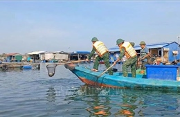 TP. Hồ Chí Minh hỗ trợ người dân thu gom cá chết trên sông Chà Và