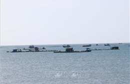 Mở hướng nghề nuôi biển hiện đại, bền vững ở Nam Khánh Hòa