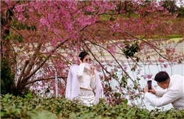 Điểm đến hấp dẫn, sôi động dịp đầu năm mới 2026