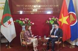 Quan hệ Việt Nam - Algeria còn rất nhiều dư địa để phát triển         
