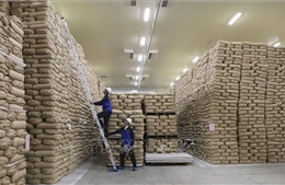 Điểm tin kinh tế thế giới nổi bật ngày 29/12/2025