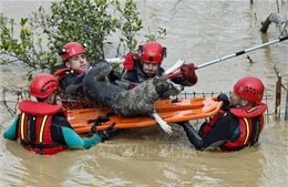 Thời tiết cực đoan gây thiệt hại nặng nề tại Tây Ban Nha, Latvia