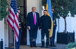 Tổng thống Mỹ và Ukraine bắt đầu hội đàm ở Mar-a-Lago