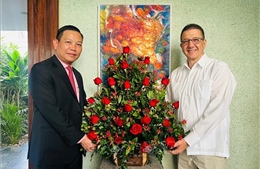 Tình hữu nghị đặc biệt Việt Nam - Cuba tỏa sáng trên mọi không gian địa lý