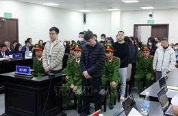 Vụ sữa giả tại Z Holding: Lập quỹ nội bộ để phân bổ nguồn 'rửa tiền'