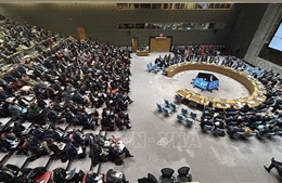 Cộng đồng quốc tế kêu gọi ổn định và tôn trọng chủ quyền Venezuela