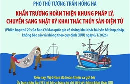 Khẩn trương hoàn thiện khung pháp lý, chuyển sang Nhật ký khai thác thủy sản điện tử