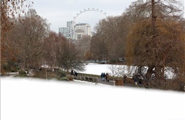 Bão Goretti gây tuyết rơi dày và gió mạnh tại Anh