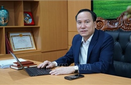 Tập trung vận hành hiệu quả Trung tâm tài chính quốc tế Việt Nam tại Đà Nẵng