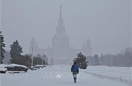 Cảnh báo điều chỉnh lịch bay tại Moskva do đợt bão tuyết mới