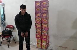 Bắt giữ đối tượng vận chuyển trái phép pháo hoa nổ qua đường mòn biên giới