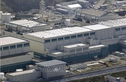 Nhật Bản gặp sự cố khi tái khởi động nhà máy điện hạt nhân lớn nhất thế giới