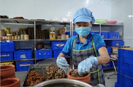 Cá mòi kho làng Chài tăng tốc cung ứng thị trường giáp Tết