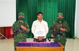 Phát hiện vụ vận chuyển hơn 12.000 viên ma túy tổng hợp