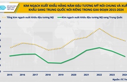 Khi dòng chảy đậu tương đổi hướng, cơ hội nào cho doanh nghiệp chăn nuôi Việt Nam?