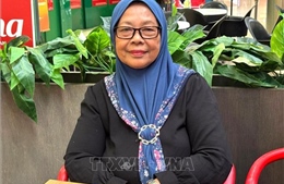 Việt Nam - trụ cột ổn định của Đông Nam Á trong bối cảnh địa chính trị biến động