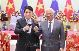 Chủ tịch nước chủ trì chiêu đãi trọng thể Chủ tịch Hội đồng châu Âu