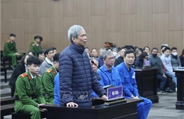 Cựu Chủ tịch Vicem kháng cáo xin giảm nhẹ hình phạt