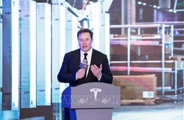 Tỷ phú Musk cân nhắc sáp nhập SpaceX với Tesla hoặc xAI