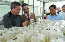 Lai Châu thành lập Trung tâm Đổi mới sáng tạo và Chuyển đổi số