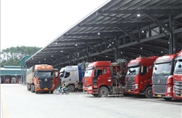 Thủ tướng chỉ đạo tháo gỡ vướng mắc trong triển khai Nghị định về an toàn thực phẩm