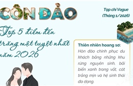Côn Đảo - top 5 điểm đến tuần trăng mật tuyệt nhất năm 2026