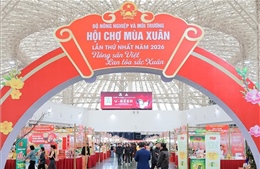 Cơ hội mở rộng thị trường cho hàng Việt tại Nhật Bản