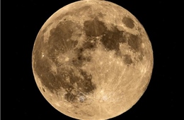 Tỷ phú Elon Musk dồn lực xây 'thành phố Mặt Trăng'