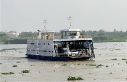 An Giang: Các bến phà hoạt động hết công suất dịp cao điểm Tết
