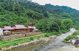 Đa dạng trải nghiệm tạo thương hiệu Du lịch Nghệ An