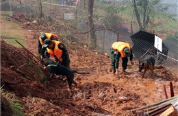 Chủ động ứng phó các tình huống thiên tai trong dịp Tết Nguyên đán 
