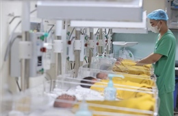 4 ngày nghỉ Tết có trên 8.300 trẻ sơ sinh chào đời tại các cơ sở y tế