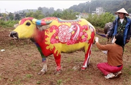 Ngắm những 'ông trâu' Đọi Sơn phiên bản xuân Bính Ngọ