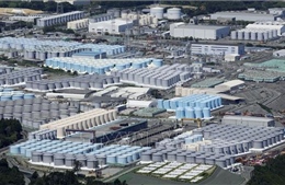 TEPCO thử nghiệm cánh tay robot thu dọn nhiên liệu nóng chảy tại Fukushima