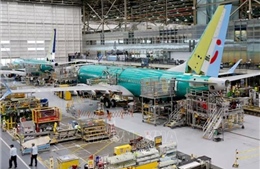 Hàng không Mỹ yêu cầu khắc phục lỗi về điện trên dòng Boeing 737