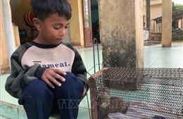 Quảng Trị tiếp nhận cá thể rái cá quý hiếm 