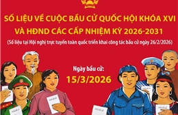 218 khu vực bỏ phiếu trên cả nước sẽ tiến hành bỏ phiếu sớm