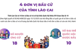 4 đơn vị bầu cử của tỉnh Lào Cai