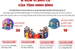 8 đơn vị bầu cử của tỉnh Ninh Bình