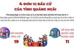 4 đơn vị bầu cử của tỉnh Quảng Ngãi