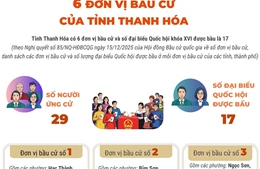 6 đơn vị bầu cử của tỉnh Thanh Hóa