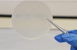 Đột phá nhựa làm từ sữa, phân hủy hoàn toàn trong 13 tuần