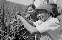 Thủ tướng Phạm Văn Đồng - Tầm vóc lớn của người trọn đời phụng sự Tổ quốc