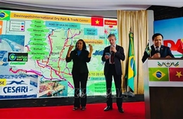 Việt Nam và Brazil thúc đẩy hợp tác nông nghiệp, năng lượng và sinh học